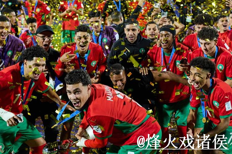 2026世界杯决赛下注官网解析，新手选择和最新地址怎么看